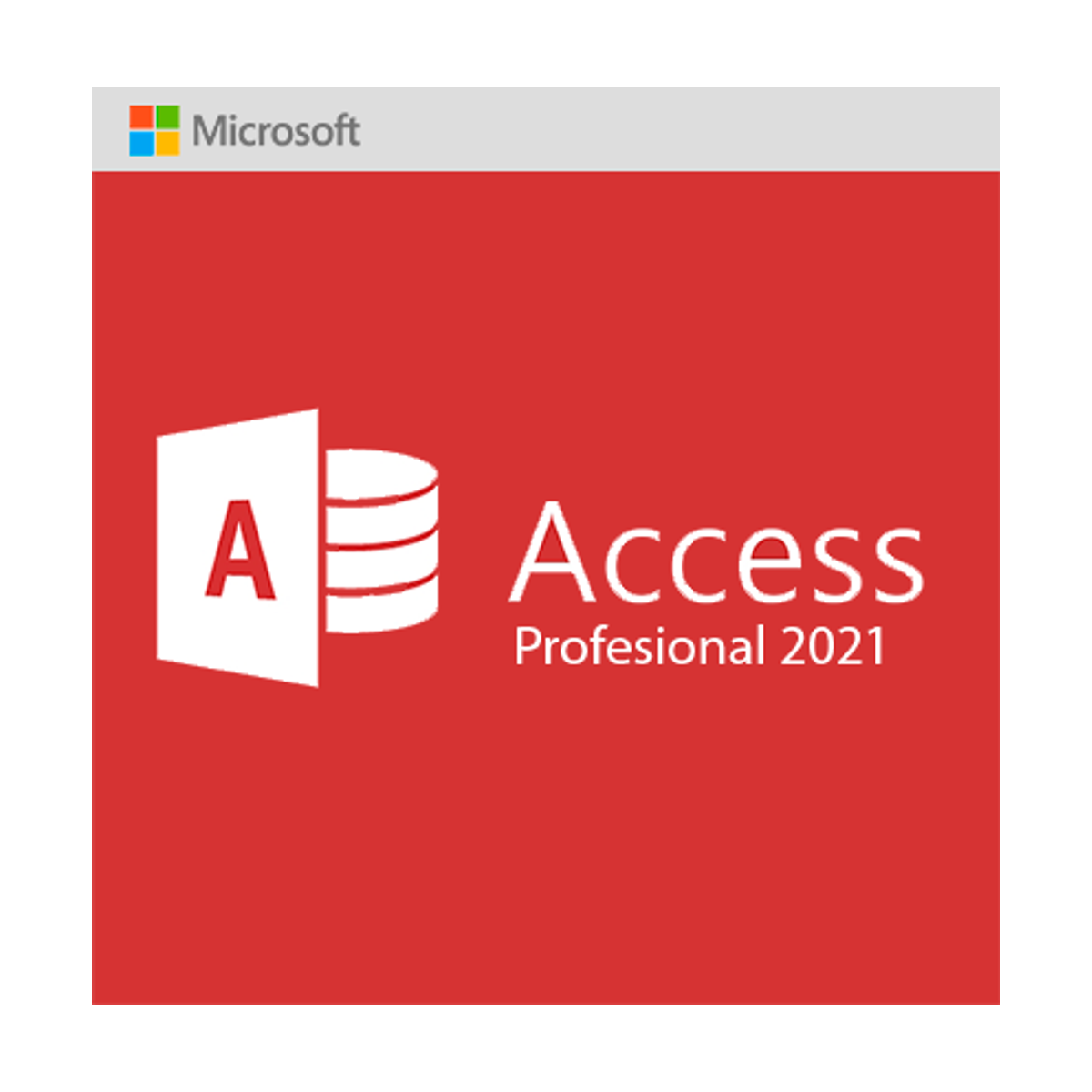 Microsoft Access 2021 Profesional, licencia digital original — Microsoft para Empresas