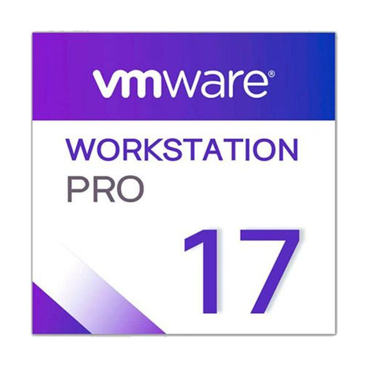 VMware Workstation 17 Pro Permanente para Windows (1 PC), licencia digital original — Otros Software